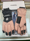 CH* new ski gloves