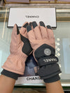 CH* new ski gloves