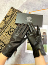 V  new autumn and winter gloves