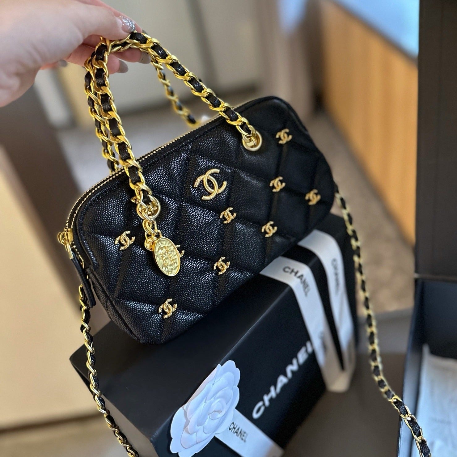 24K Gold Coin Chain Bag